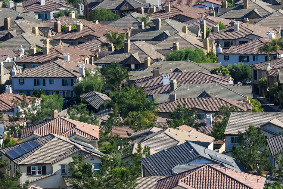 住宅街と近隣の家並み