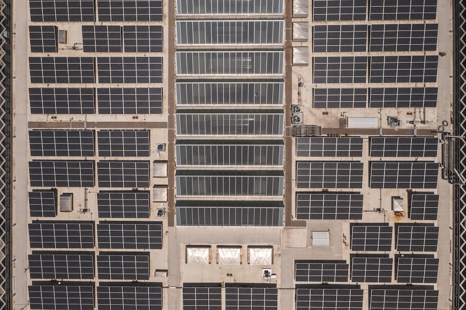 熊本県の太陽光発電補助金の概要