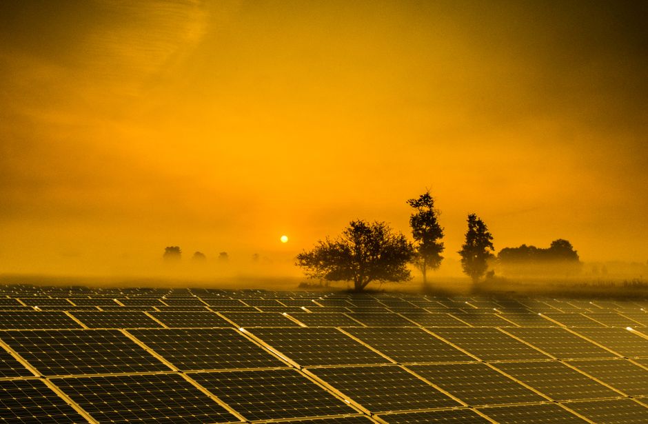 A vibrant sunrise over solar panels in a misty field, showcasing renewable energy.