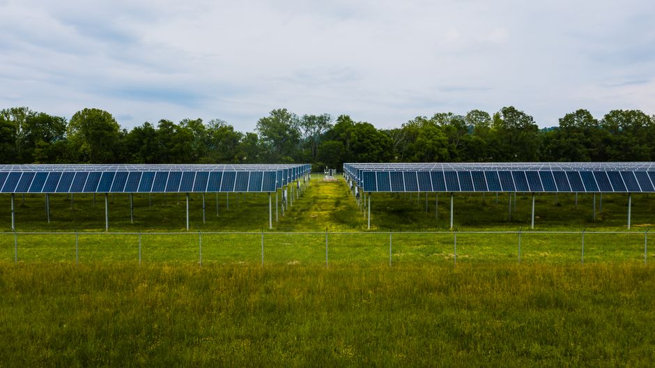 Perspective view rows of blue solar panels installed on green field in solar power station in summer countryside