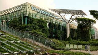Eco-friendly building with rooftop gardens and solar panels in an urban setting, captured in daylight.