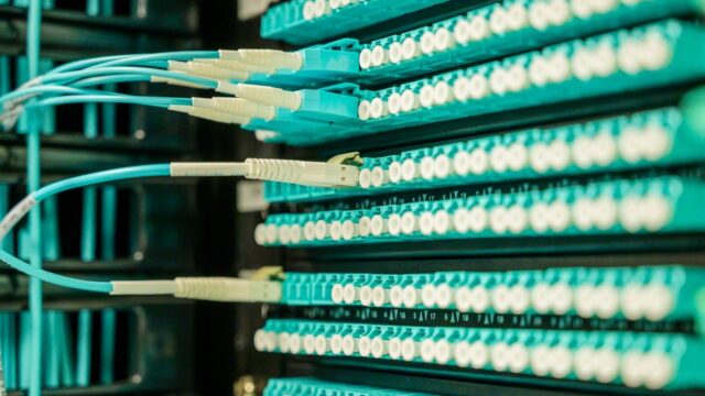 Networking cables plugged into a patch panel, showcasing data center connectivity.