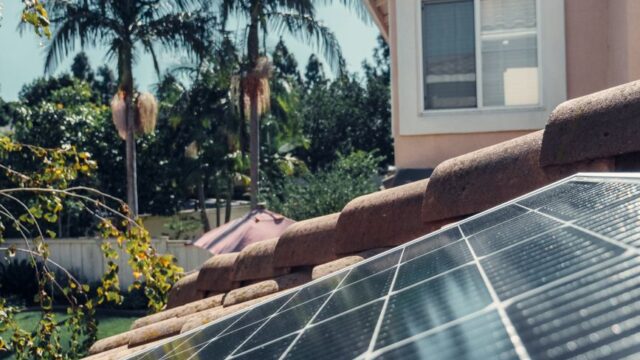 Close-up of solar panels on a rooftop with palm trees and a house in the background.