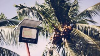 From below of solar light streetlamp with inscription near tall tropical palm tree with green leaves on sunny summer day