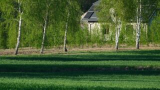 A sustainable home with solar panels surrounded by lush green trees and grass, symbolizing eco-friendly living.