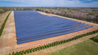A broad aerial view of a sunlit solar farm surrounded by trees in White Level, NC.