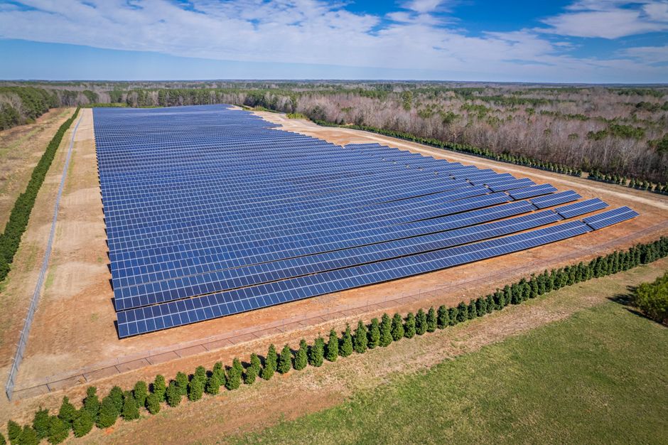 A broad aerial view of a sunlit solar farm surrounded by trees in White Level, NC.