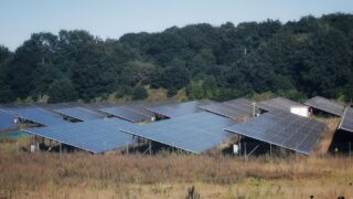 A wide view of solar panels in an open field, showcasing sustainable energy solutions.