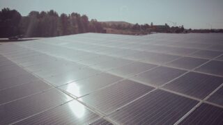 A large expanse of solar panels capturing clean energy under a clear sky.