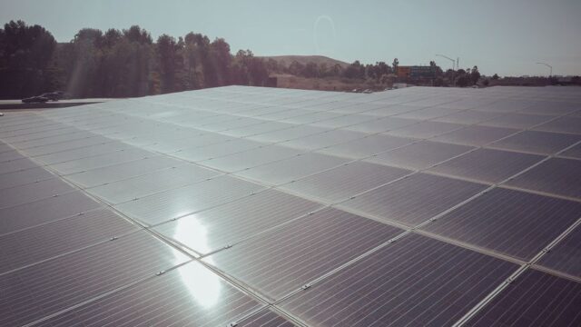 A large expanse of solar panels capturing clean energy under a clear sky.