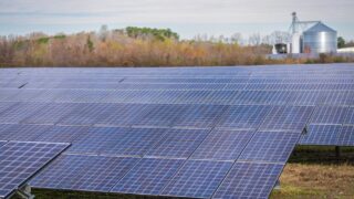 A large field of solar panels capturing renewable energy under a clear sky.