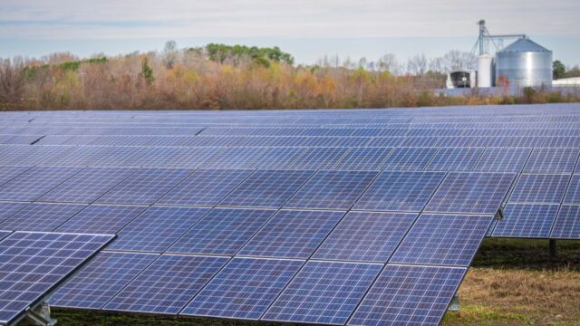 A large field of solar panels capturing renewable energy under a clear sky.
