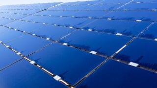 Wide view of solar panels under clear sky, showcasing renewable energy technology.
